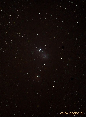 Christmas Tree Cluster NGC 2264