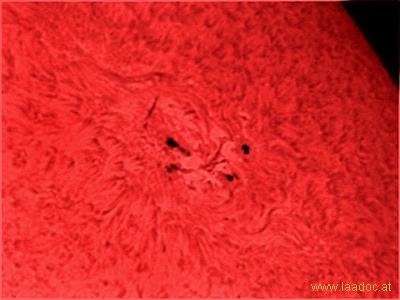 Sonnenfleck 1164 am 6. März 2011